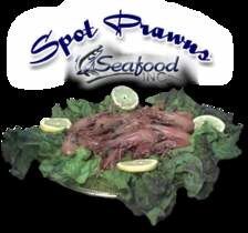 Colossol Shrimpness