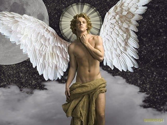 Imagine We Had Wings
