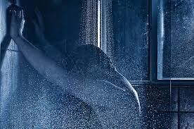 A shower's rain