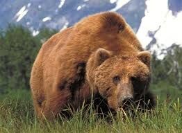 Big Bear