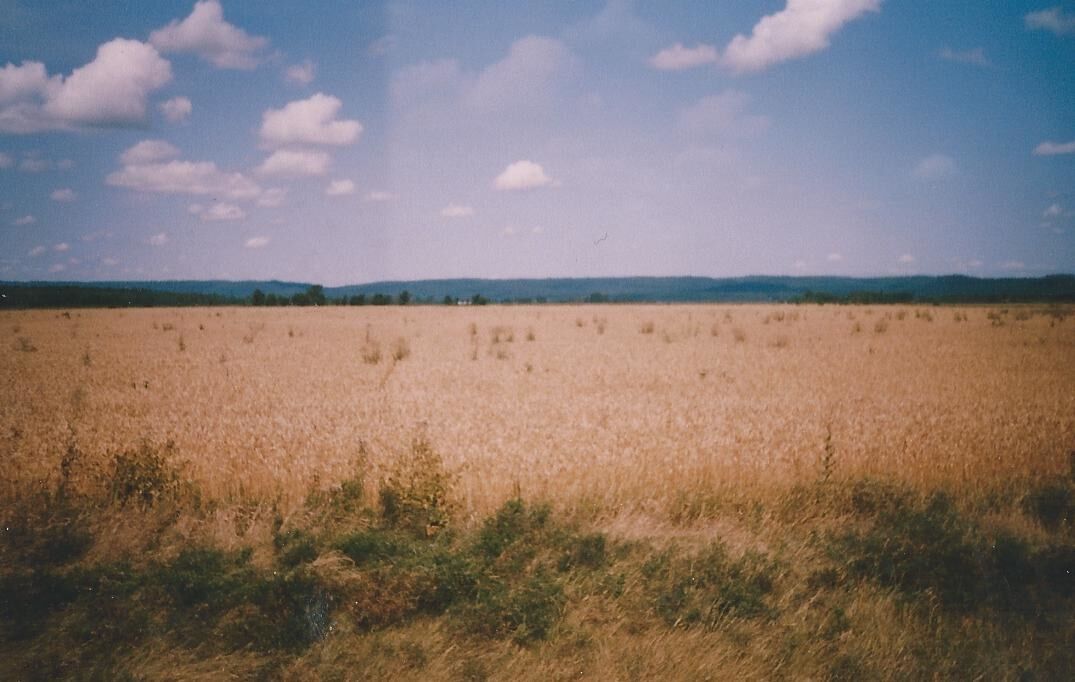 Manitou Fields