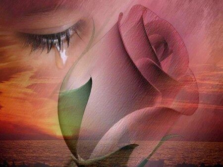 Love Beyond Wealth