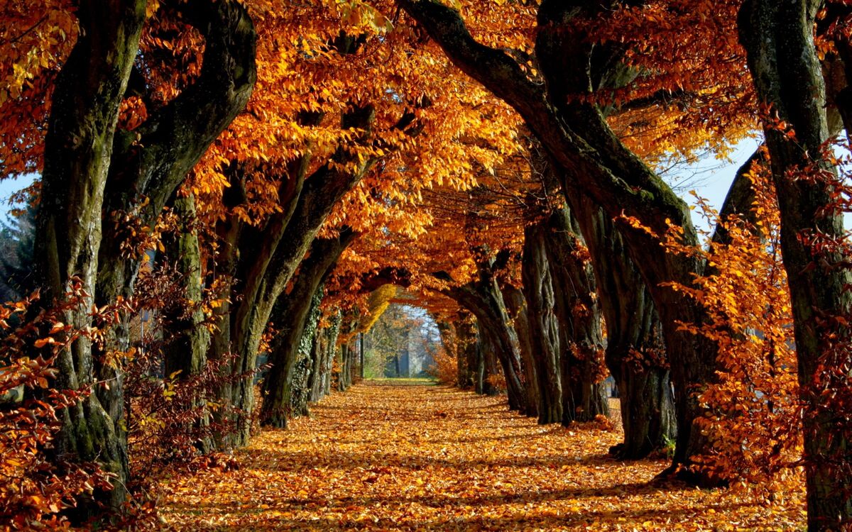 OCTOBER