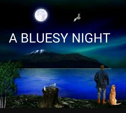 A BLUESY NIGHT