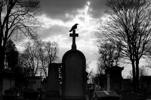 Ravens and Death