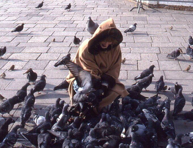 COUNTING PIGEONS 