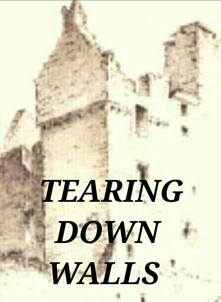 TEARING DOWN WALLS