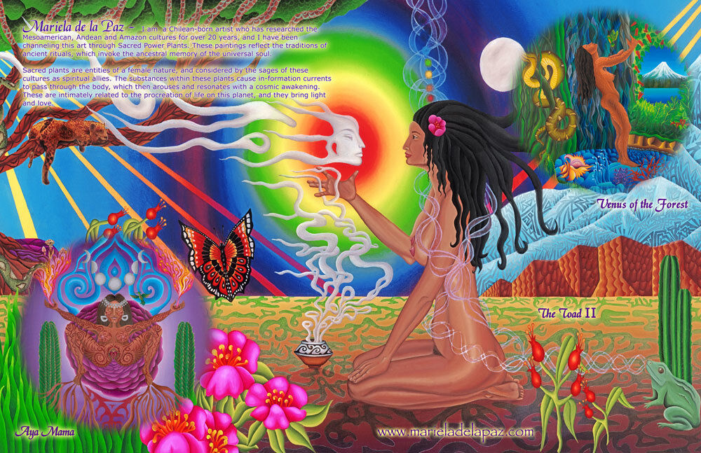 Williamsji Maveli writes, Laura's Rainbows : 8 Radiance Of Love