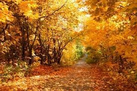 AUTUMN TIME