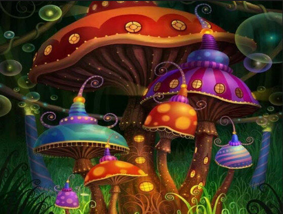 Magic Mushrooms