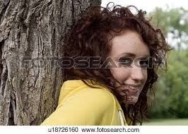THE WILLOW TREE