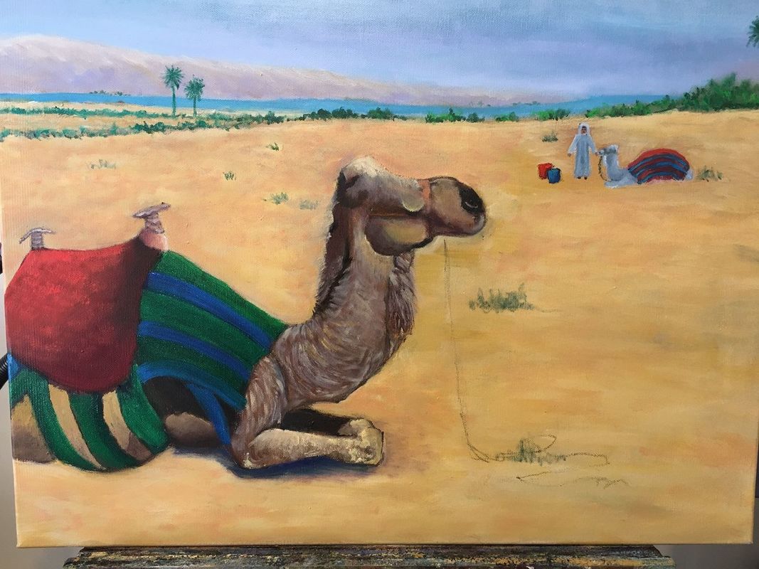 a work in progress CAMEL COUNTRY