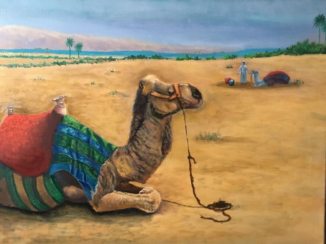 CAMEL COUNTRY A WORK IN PROGRESS ALMOST DONE