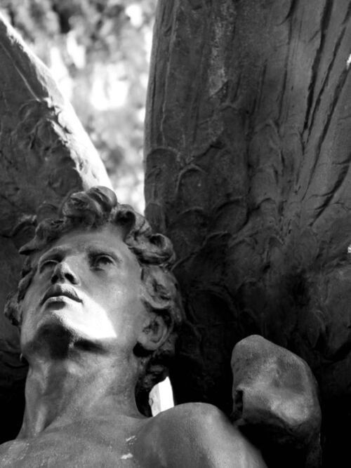 The Wings of an Angel
