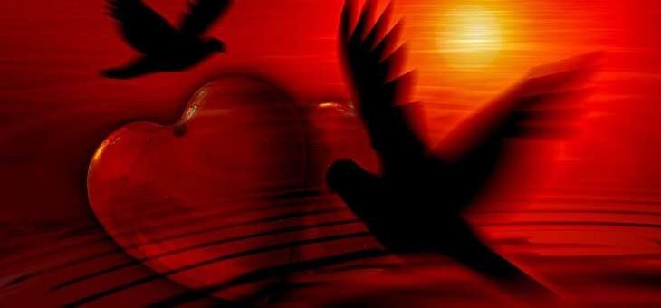 Soars The Heart