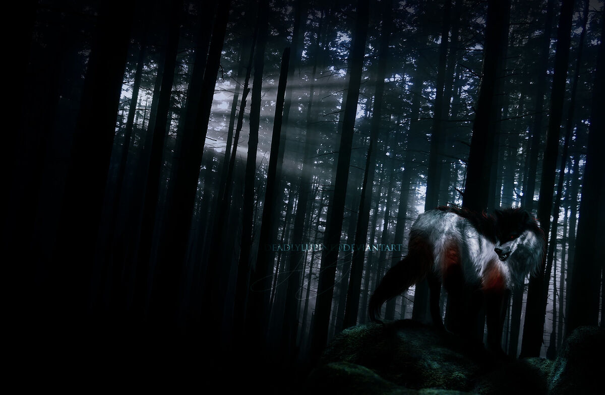 The Dark