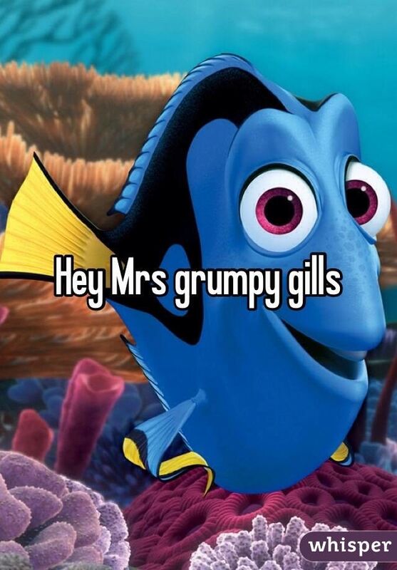 mr grumpy gills