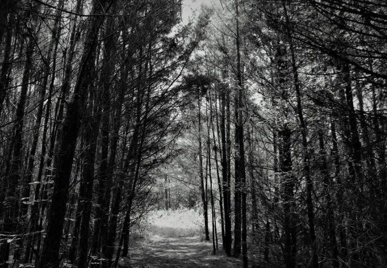 POETIC PATHS