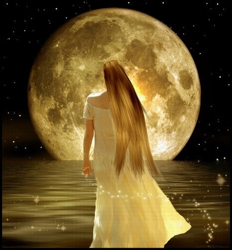 MoonLife