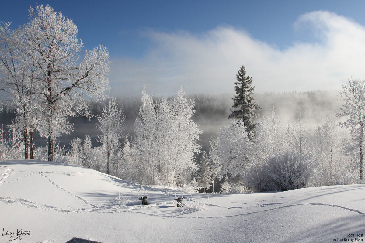 The Arrival Of Winter