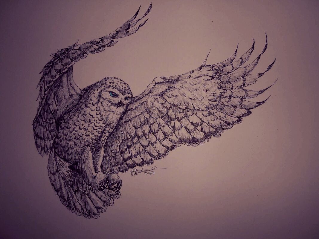Snowy owl