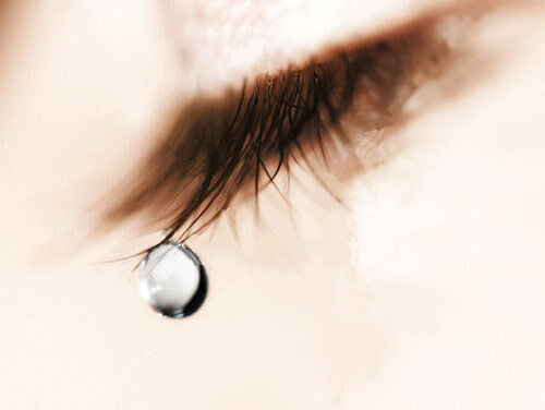 Loves Eyes