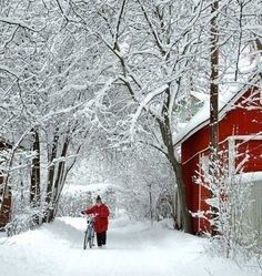 ITS GETTING TO LOOK A LOT LIKE CHRISTMAS..by Jude kyrie