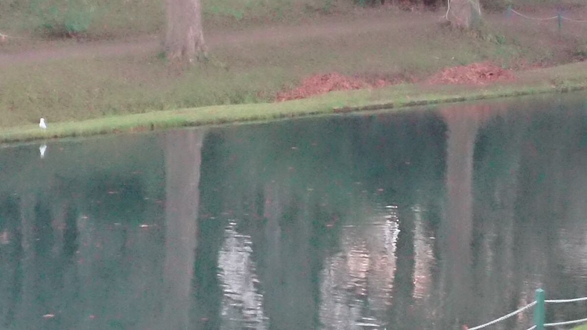 The cycle of confusion 