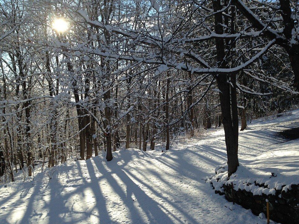 Christmas Snow