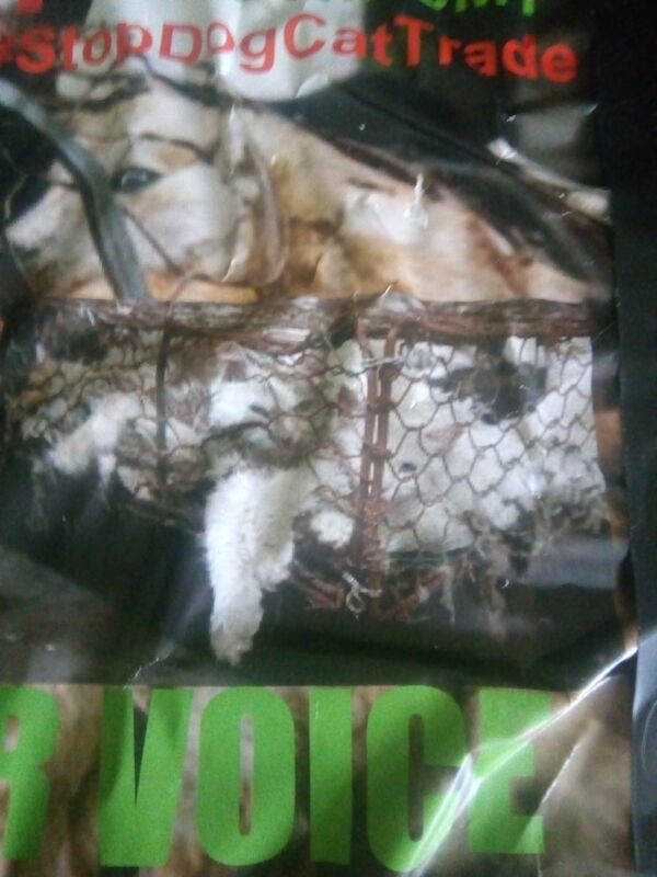 OFFENSIVE ( DOG/CAT MEAT TRADE) 6