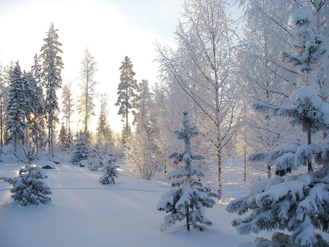 First Snow