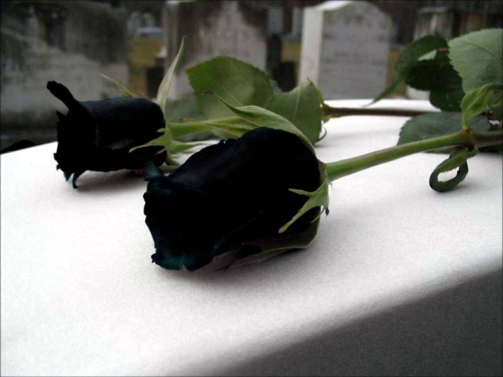 To you
