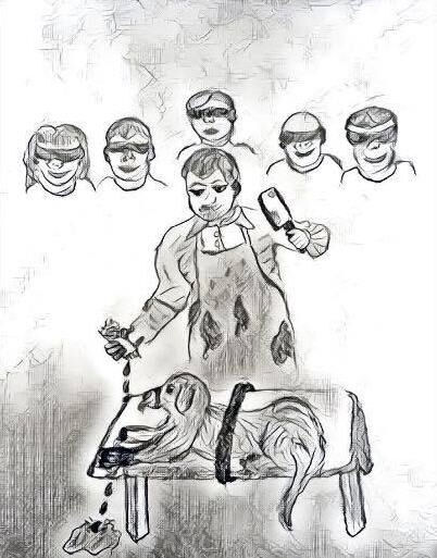 Chopping Block
