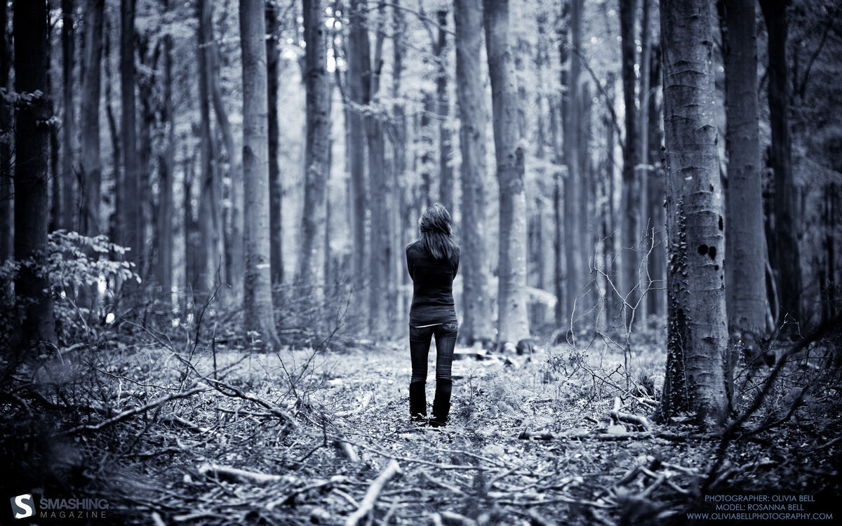 The woods...