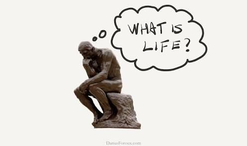 What is Life? 