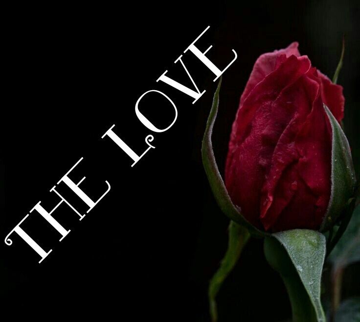 THE LOVE