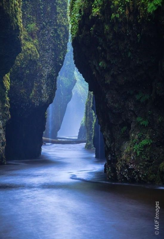 Journey of the Heart