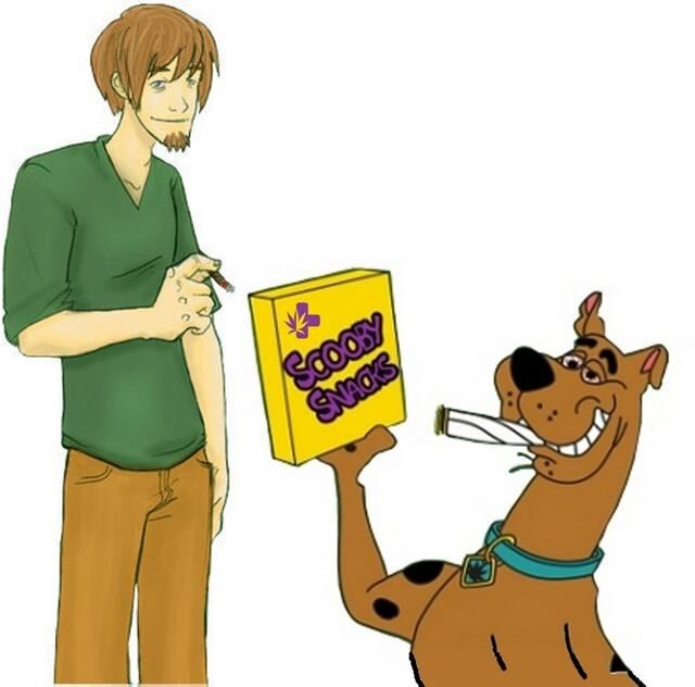 scooby snack