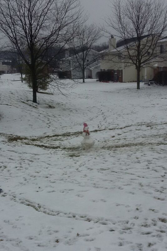 Mister Snowman