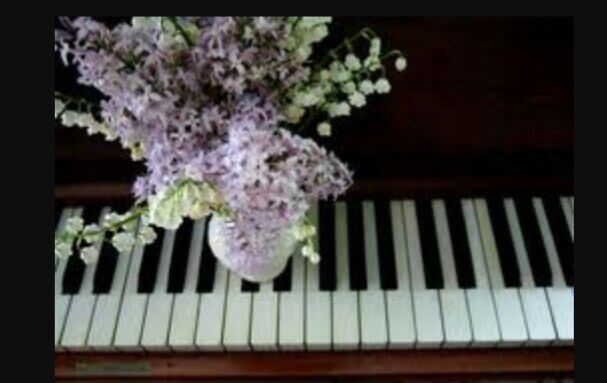 Bouquet of Lilacs