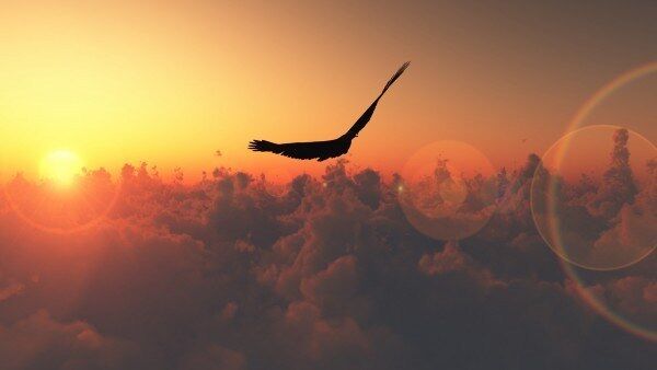 "Fly with God"