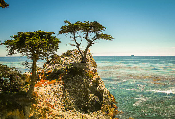 Monterey's Parade