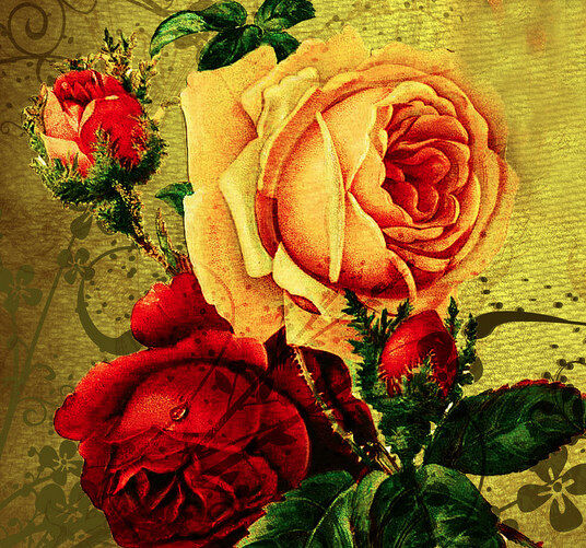 Inner Beauty