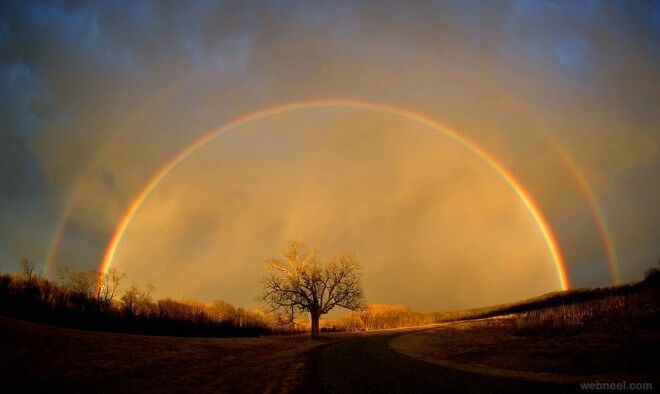 MY RAINBOW