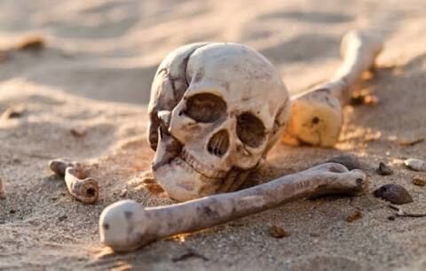 Bones of why