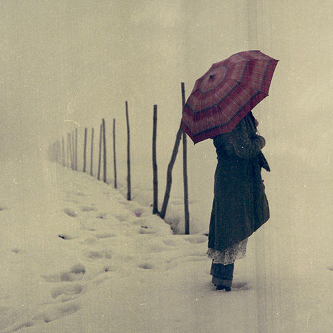 Think of me in Snow