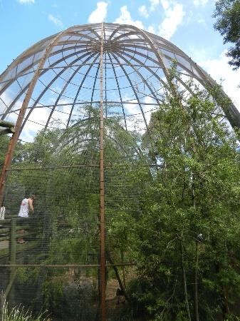 The Aviary 