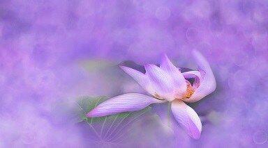 Offering of Self