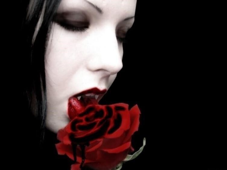 Wallflower