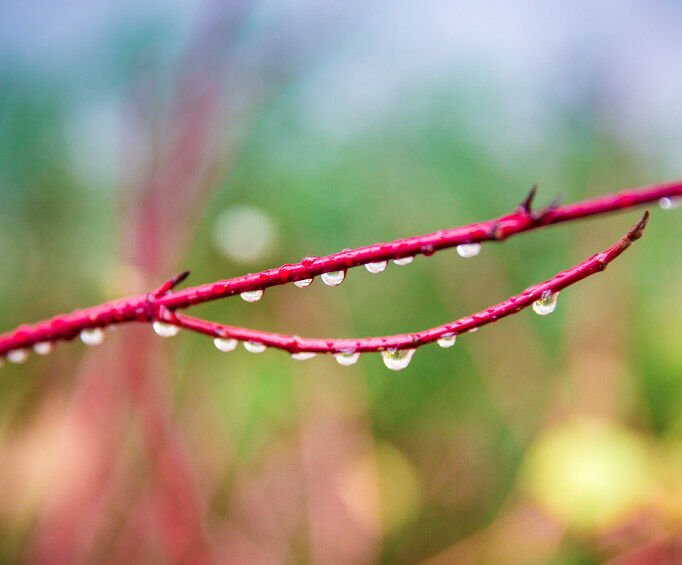 To Have Lived And Loved